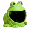 Frog Scrubby Holder