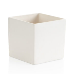 Vase Square Herb