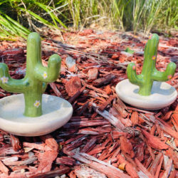 Cactus Ring Holder