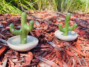 Cactus Ring Holder