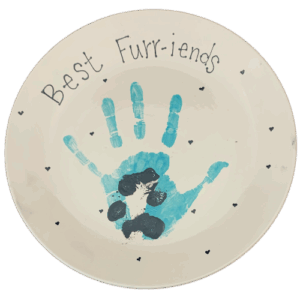 Project Kit - Best Furry Friends