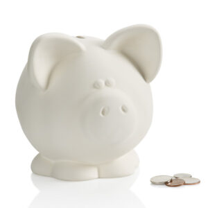 Piggy Bank Biggy