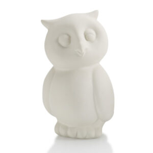 Party Animal Owl