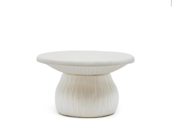 Mushroom Trinket Box