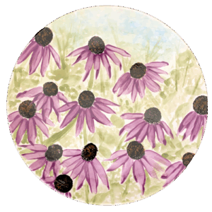 Project Kit - Cone Flowers