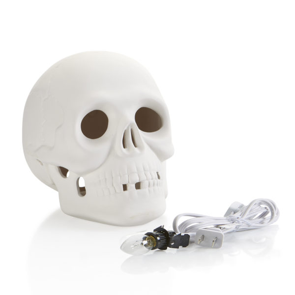 Skull w/ Light