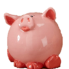 Pig Pudgy Bank