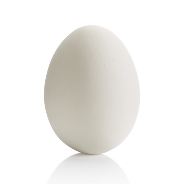 Egg Large