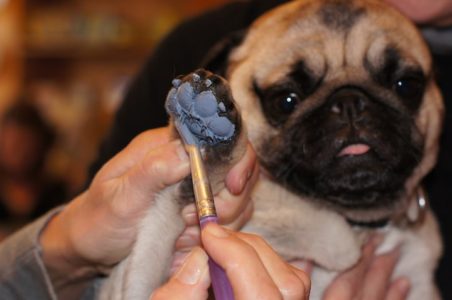 National Pet Month