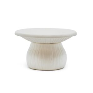 Mushroom Trinket Box