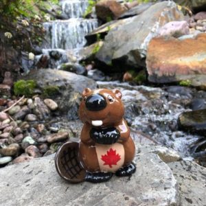 Canada Day Beaver! 
